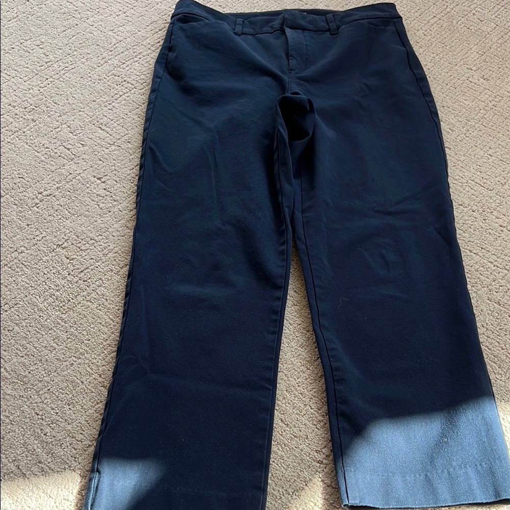Old Navy Ankle Cropped Pants - Navy Blue